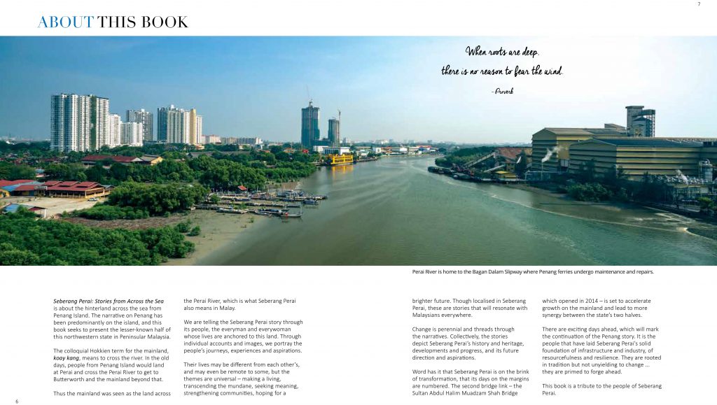 about-the-book-pg6-7